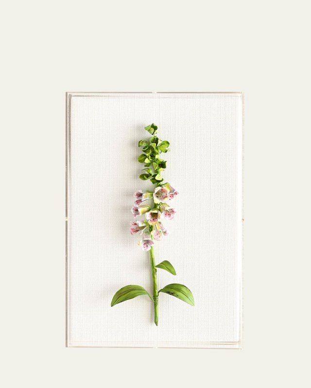 Original Painted Foxglove Study
